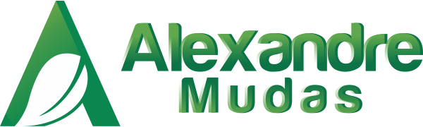 Alexandre Mudas